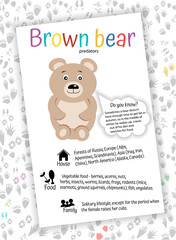 Brown bear Educational flash cards for children. Interesting facts, nutrition, habitat. Animal footprints background