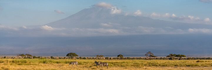 View of the Kilimandjaro mountain in Tanzania, with the savannah, beautiful panorama