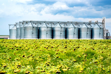 Distant view of sunflower oil refinery in a field