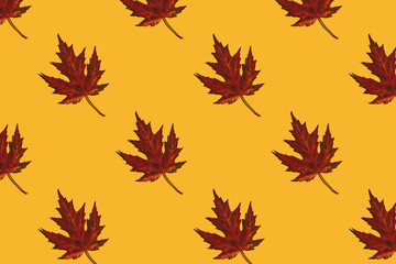 Pattern made of autumn leaves on yellow background. Creative layout.