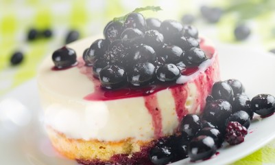 Delicious cheesecake with blueberries, close-up