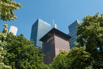 Obraz premium Hochhäuser Taunusanlage Frankfurt am Main