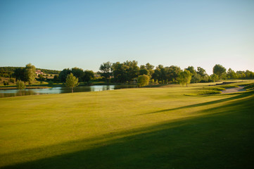 Fresh green field and blue sky in summer, landscape