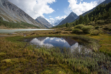 At the foot of Mount Belukha Altai Republic