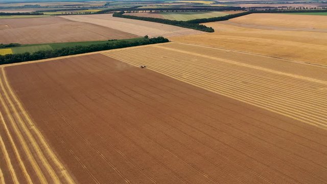 4k Aerial video view from a height, fields with ripe gold-colored wheat