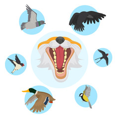 Fototapeta premium Fox open mouth head and foxes food and diet of birds vector illustration. Cartoon and realistic fox and birds isolated on white background. Fox nutrition infographics.