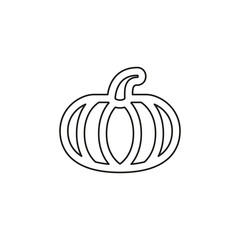 vector pumpkin illustration, vegetarian