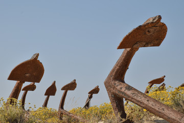 Anchors in the beach sand
