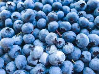 Macro photo of blueberries. Texture pattern background of round blueberries