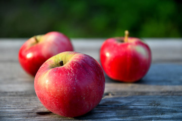 Ripe red apples in the garden in the morning, on old boards.