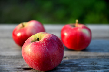 Ripe red apples in the garden in the morning, on old boards.