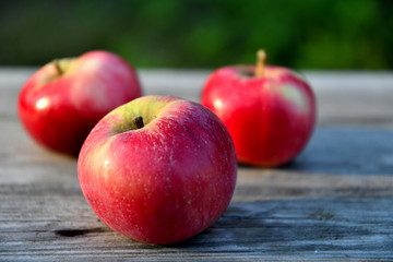 Ripe red apples in the garden in the morning, on old boards.