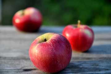 Ripe red apples in the garden in the morning, on old boards.