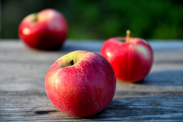 Ripe red apples in the garden in the morning, on old boards.