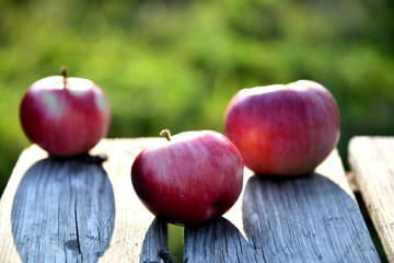 Fototapeta na wymiar Ripe red apples in the garden in the morning, on old boards.