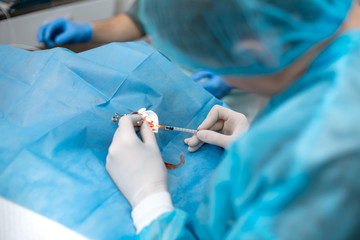 A professional ophthalmologist performs eye surgery with a microscope. The doctor inserted the...