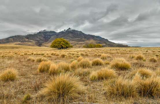 landscape with mountains and gray sky