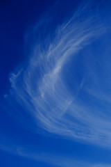 Bright white cirrus cloud in light blue sky, vertical frame. - obrazy, fototapety, plakaty