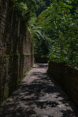 Obraz premium abandoned surrealistic Garden in Xilitla Mexico