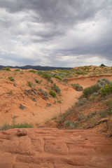 Pink coral sand dunes