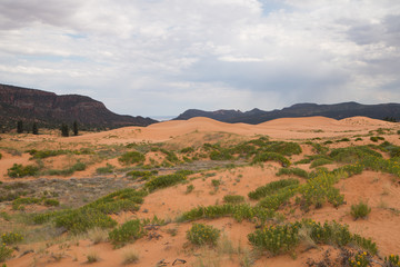 Fototapeta premium Pink coral sand dunes