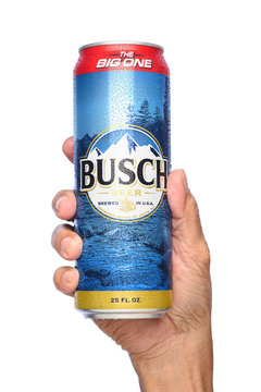 IRVINE, CALIFORNIA - APRIL 26, 2019: Closeup of a hand holding a 25 ounce King Can of Busch Beer. An economy brand pale lager introduced in 1955 as Busch Bavarian Beer.