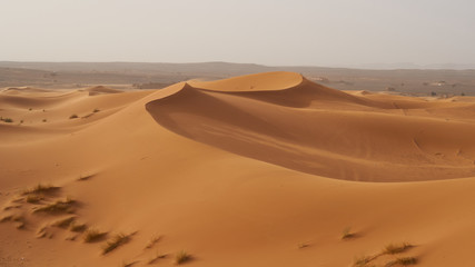Fototapeta na wymiar Sand dune in the Sahara desert in Morocco.