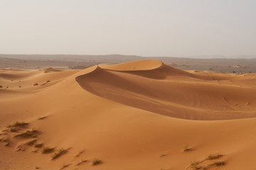 Fototapeta na wymiar Sand dunes in the Sahara desert in Morocco.