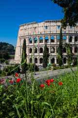 Obraz premium The famous Colosseum or Coliseum also known as the Flavian Amphitheatre in the centre of the city of Rome
