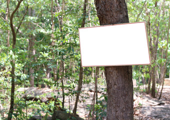 White blank screen sign board on tree at the park.