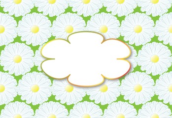 Meadow Floral background with marguerite and chamomile, empty frame for your text.