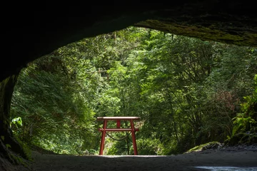 Tuinposter 溝ノ口洞穴と鳥居 © varts