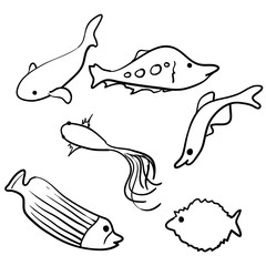 doodle fish collection vector with handdrawn cartoon style