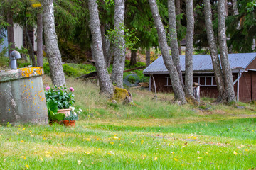 Summer scene on one of the many islands in the Archipelago of Finland. 