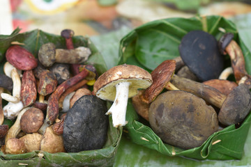 A set of good and eatable mushrooms in small baskets sell in market Thailand.