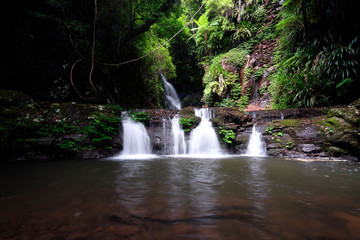 Elabana Falls flowing in the Lamington National Park with Lush greenery and leaves
