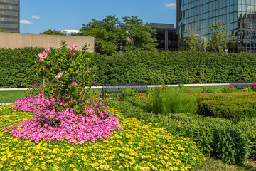 Obraz premium Flowers and a Bench in a City Park