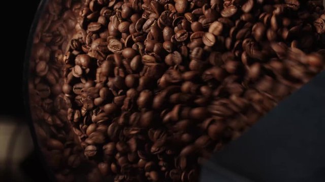 Roasted Coffee Beans Pouring Into Grinder From Above In Cafe