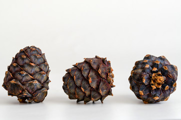 Isolated three pine cone on white background