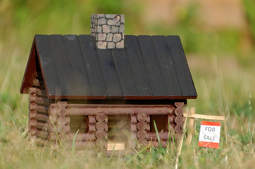 Miniature House for Sale - Concept Real Estate