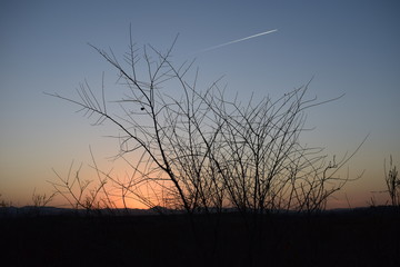 Atardecer