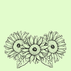 Sunflower, sketch, graphics