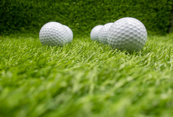 Golf balls are on green grass.