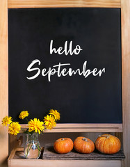 Hello September. school chalkboard, bouquet of autumn flowers, books and orange pumpkins. concept of autumn, beginning of school year, education. soft focus
