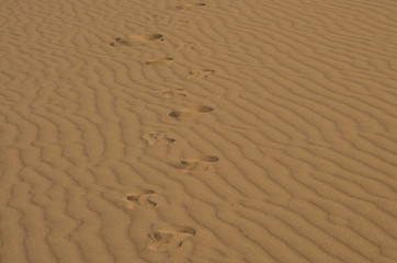Sand dune in summer. Footprint on the yellow sand in desert