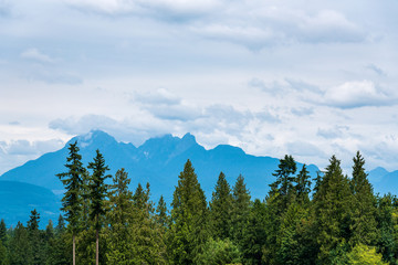 Landscape of deciduous and evergreen trees against a background of blue mountains and stormy gray sky with many clouds