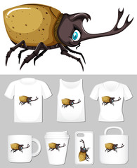 Graphic of beetle on different product templates