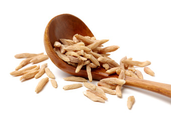 Dwarf Lilyturf Tuber,Ophiopogon japonicus (Linn. f.) Ker-Gawl on white background