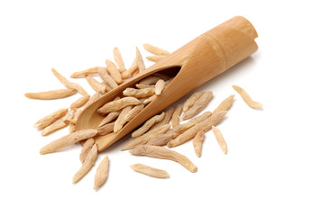 Dwarf Lilyturf Tuber,Ophiopogon japonicus (Linn. f.) Ker-Gawl on white background