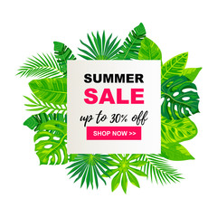 Summer sale banner with tropical leaves. Place for text. Template for poster, web, invitation, flyer. Flat style design.